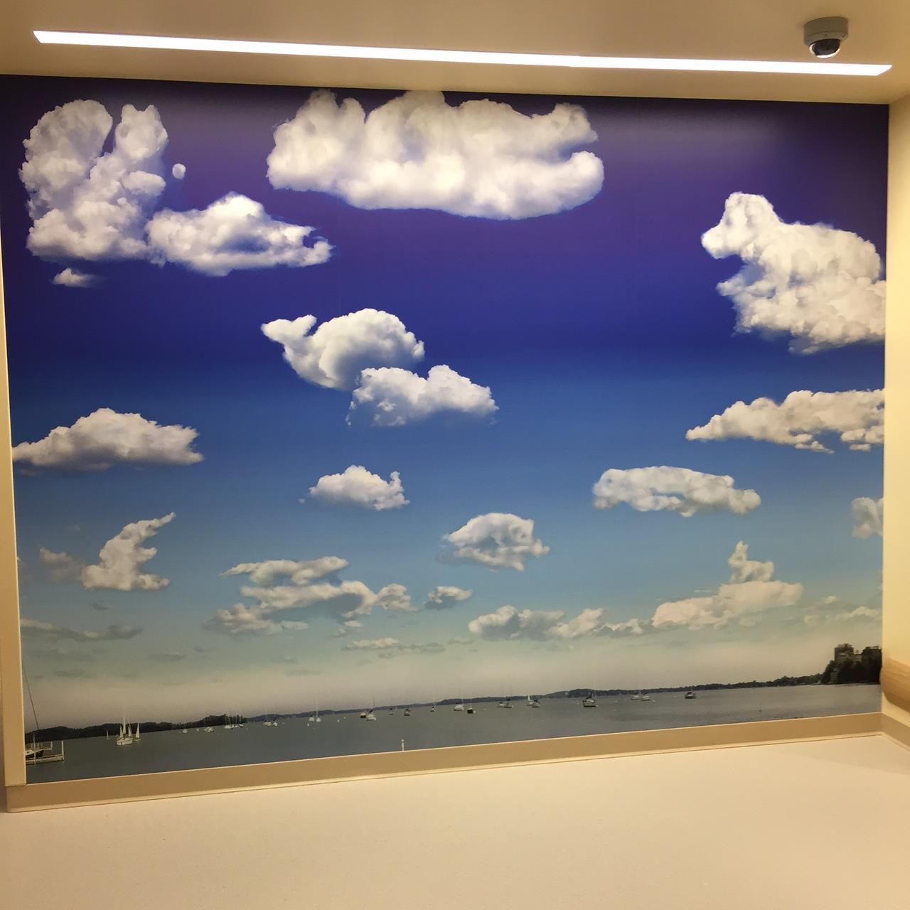Clouds